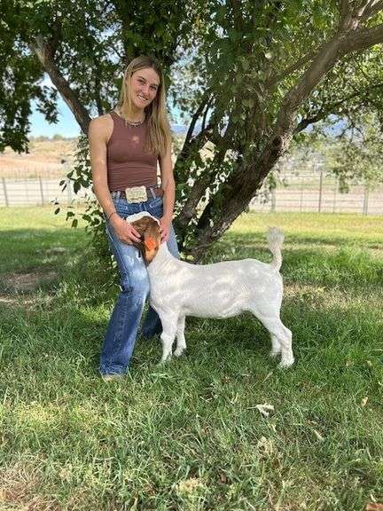 Aubrey Winstead Goat