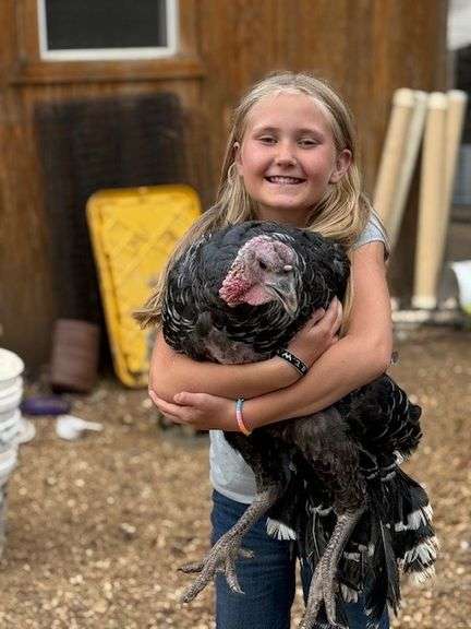 Stella Baugh Turkey