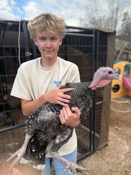 Braden Baugh Turkey