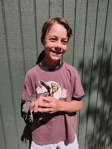 Milo Piliero Quail