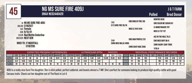 NG MS SURE FIRE 409J