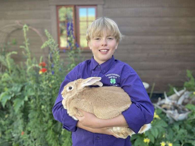Estin Schreiber Rabbits