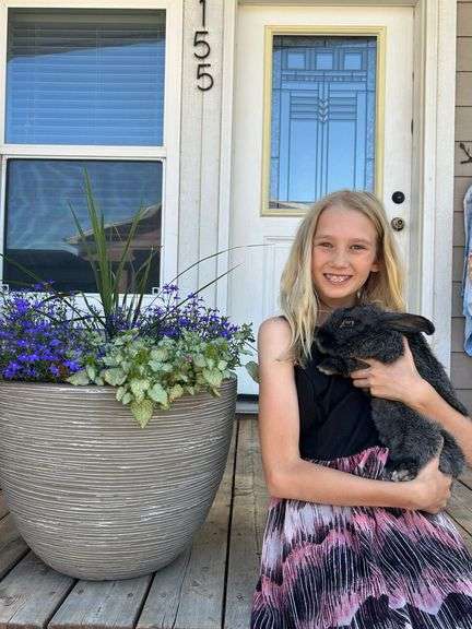 Claire Diss Rabbits
