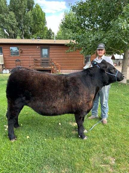 Shane Luark Beef