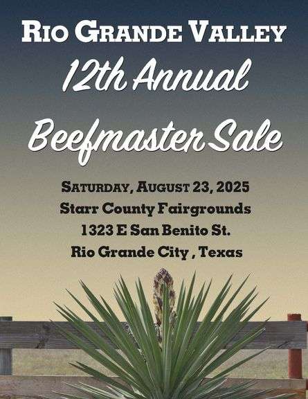 Rio Grande Valley Beefmaster Annual Summer Sale