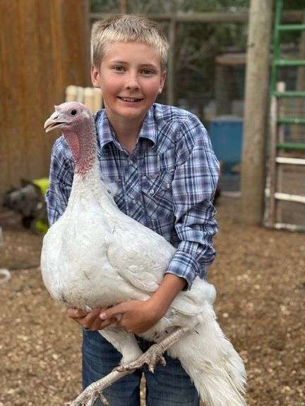 Cody Baugh Turkey