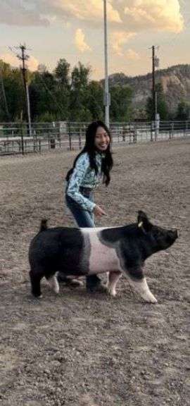 Autumn Woods Pig