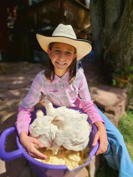 Violet  Freyer Chicken