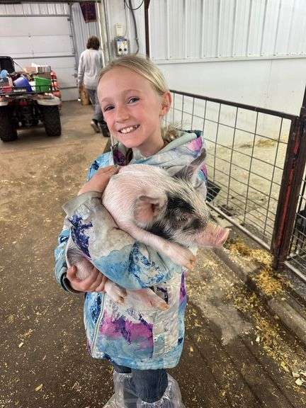 McKelly Ewing Swine
