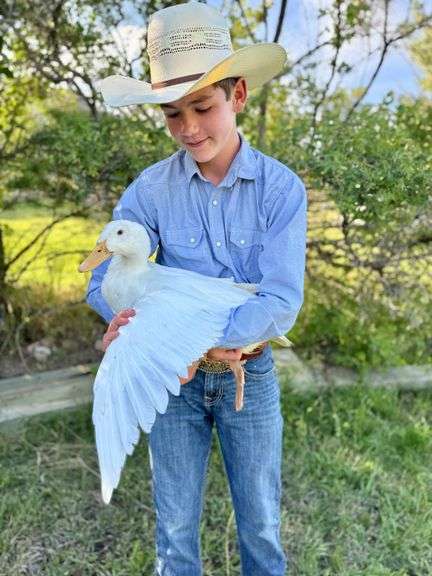 Desmond  Parker Duck