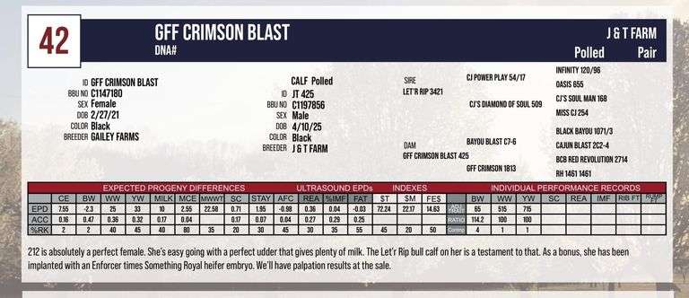GFF CRIMSON BLAST