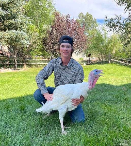 Justin Hill Turkey