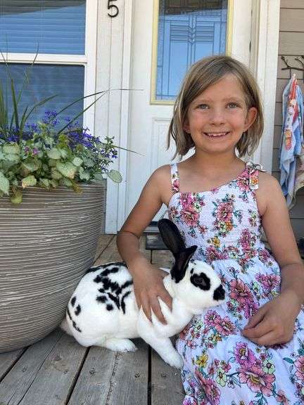 Aubrey Diss Rabbit
