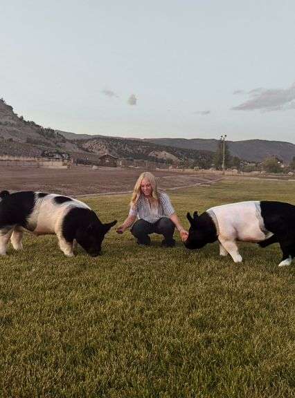 Madison Wodrich Pig