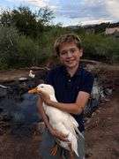 Rafael Romanin Duck