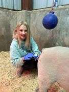 Claire Diss Lamb