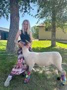 Claire Diss Lamb