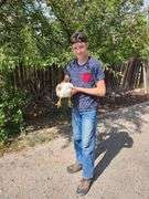 Jayce Dallmann Chicken