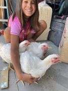 Elizabeth Ruth Thompson Chicken