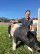 Charlotte Randall Pig