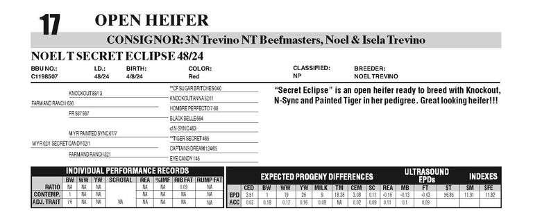 NOEL T SECRET ECLIPSE
