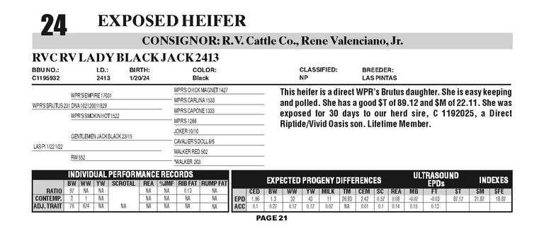 RVC RV LADY BLACK JACK