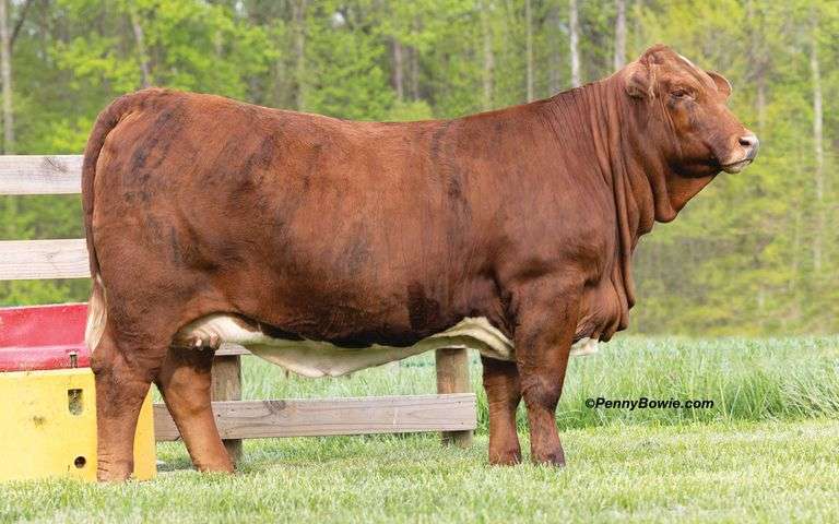 HDH MS REVOLUTION 805L ET