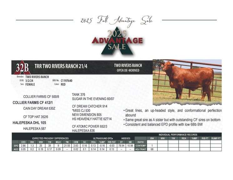 TRR TWO RIVERS RANCH 21/4