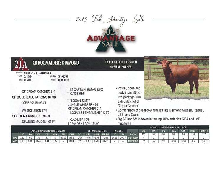 CB ROC MAIDENS DIAMOND