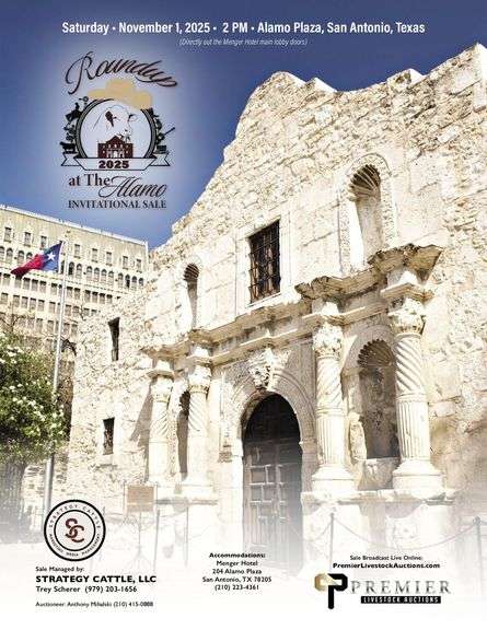 Round Up at the Alamo Invitational Sale