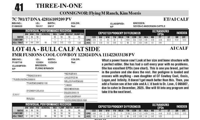 7C 701/17 - Premier Livestock Auctions
