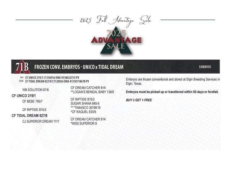 Embryo Package: CF UNICO x CF TIDAL DREAM