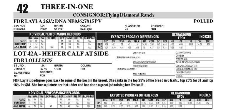 FDR MISS BEA 254/2