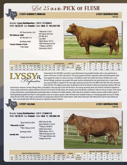 PICK OF FLUSH: KARMA'S MIRAGE