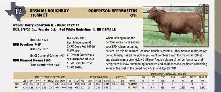 RBSN MS DOUGHBOY 116M4 ET