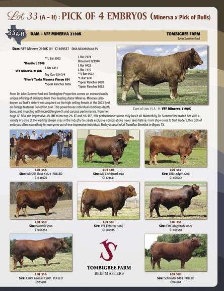 Embryo Package: WR SAV BLAKE x VFF MINERVA 2190K