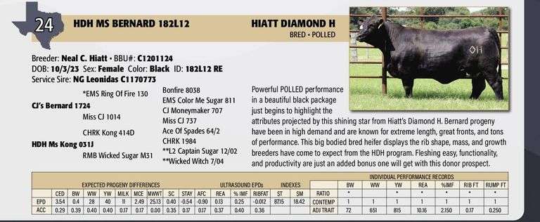 HDH MS BERNARD 182L12