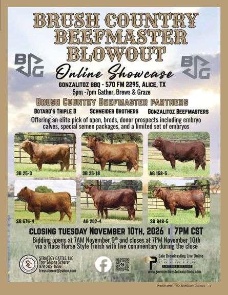 Brush Country Beefmaster Blowout Online Showcase