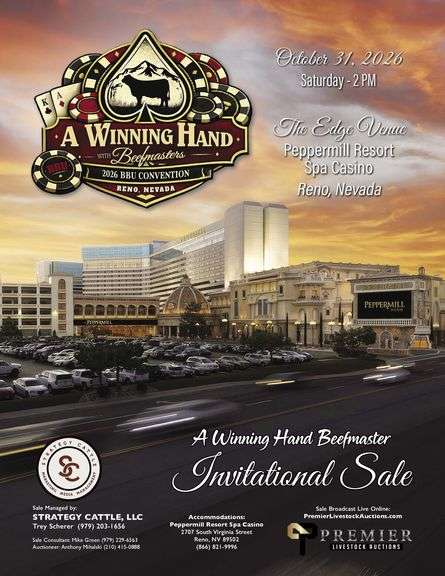 A Winning Hand Beefmaster Invitational Sale