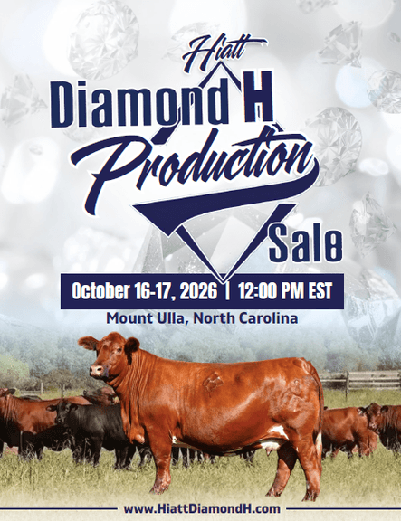 Hiatt Diamond H Beefmaster Production Sale