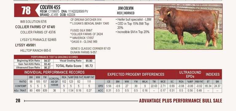 COLVIN 455