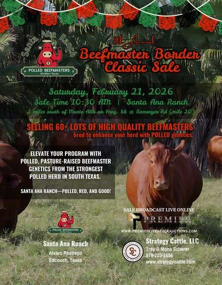 BEEFMASTER BORDER CLASSIC SALE