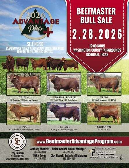 2026 ADVANTAGE PLUS PERFORMANCE BULL SALE