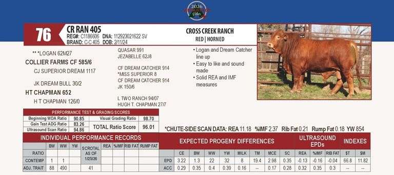CR RAN 405