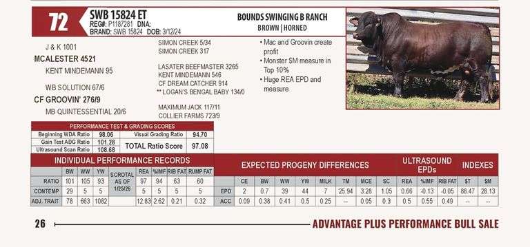 SWB 15824