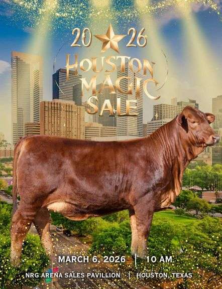2026 HOUSTON MAGIC SALE