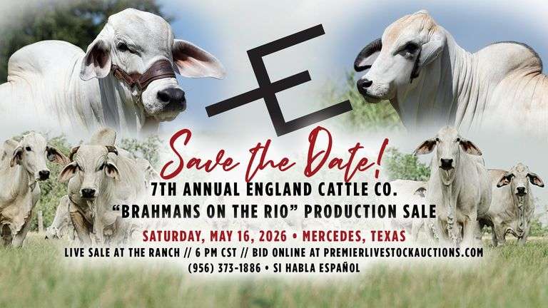 7th Annual England Cattle Co. “Brahmans on the Rio” Production Sale