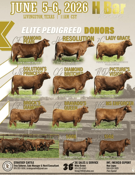 H BAR RANCH PRODUCTION SALE