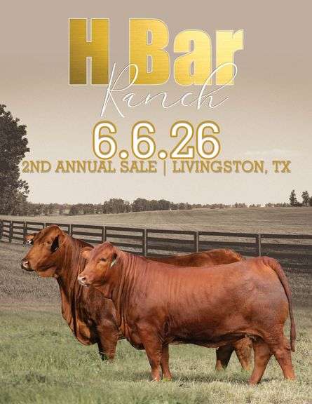 H BAR RANCH PRODUCTION SALE