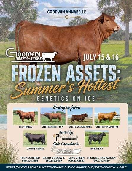 Goodwin Beefmasters Frozen Assets Sale